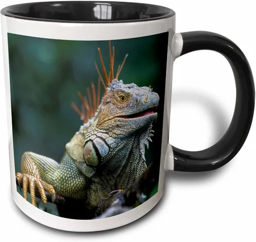 3dRose Costa Rica, Muelle San Carlos, Iguana Lizard - SA22 PSO0005 - Paul... - Tazas (taza_87260_4)