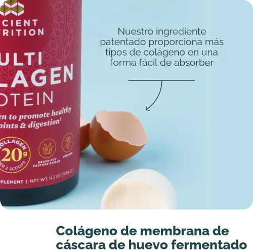 Miniatura 6 de Ancient Nutrition - Péptidos de colágeno en polvo, proteína multi-colágeno, para mujeres y hombres, con vitamina C, probióticos, colágeno