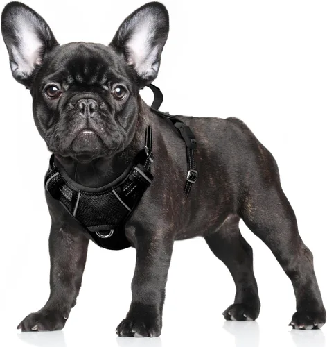 Miniatura 83 de BARKBAY Arnés para Perro Sin Tirones Talla Grande Arnés Reflectante para Perro con Clip Frontal y Asa de Control Fácil para Caminar Entrenar Correr