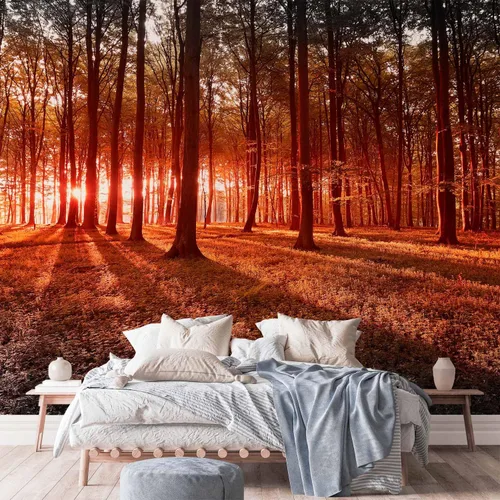 Miniatura 5 de artgeist Mural de pared prémium Bosque de 79 x 55 pulgadas, papel tapiz fotográfico no tejido, impresión artística, mural de pared de forro polar