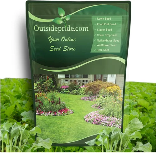 Outsidepride Purple Top Semillas de nabo – 5 libras de alto rendimiento, semillas de nabo con alto contenido de proteínas, cultivo de cobertura