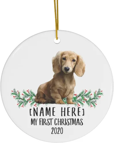 Nombre personalizado Año salchicha crema Año Nuevo 2026 Decoraciones Regalos Primero 2025 Adornos de árbol de Navidad círculo de cerámica