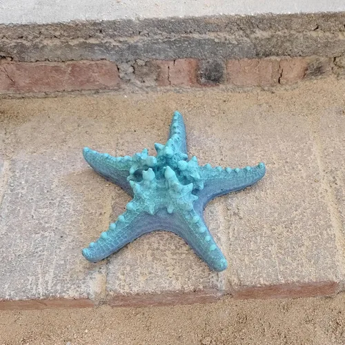 Miniatura 4 de Centro de mesa azul decorativo de estrella de mar, artesanía de estrellas de mar reales, resina hecha a mano, estrella de mar de mar estilo playa