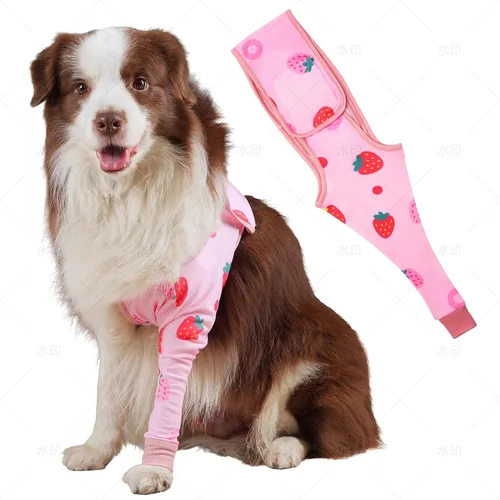 Miniatura 10 de Funda de recuperación de pierna delantera para perro, funda única para evitar lamer, arañazos y mordeduras, alternativa al collar de cono para Sweet