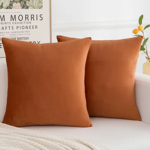 Miniatura 18 de Juego de 2 fundas de almohada decorativas de terciopelo, funda de cojín cuadrada suave para decoración del hogar para sala de estar, sofá o cama