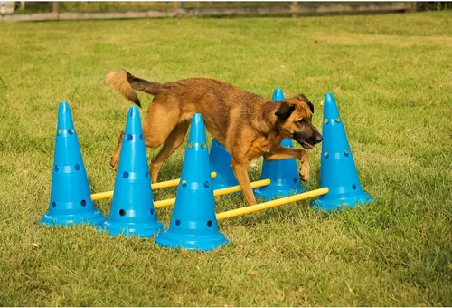 Miniatura 6 de Midlee Juego de agilidad de cono y poste para perros, ajustable para perros grandes a pequeños, juego de 3