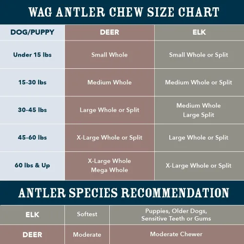Miniatura 5 de Marca Amazon – Cuerno de alce dividido Wag con desprendimiento natural, de larga duración para masticadores agresivos, mediano