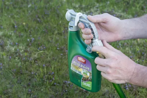 Miniatura 3 de Ortho Weed B Gon Chickweed, Clover & Oxalis Killer para césped, 32 onzas (paquete de 2)