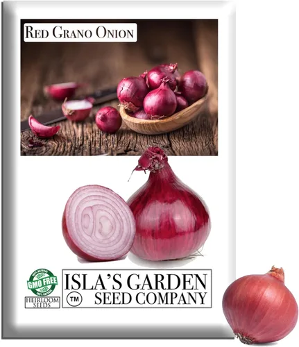 Semillas de cebolla roja de Grano (Allium cepa) – Más de 300 semillas de reliquia sin OMG de Isla's Garden Seeds, bulbos rojos suaves y dulces,