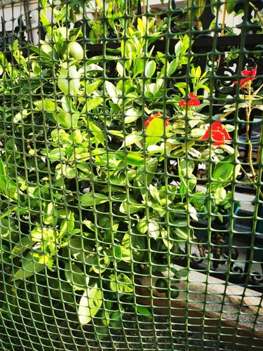 Miniatura 4 de PotatoLife Red de malla de plástico para ferretería, red de jardín, valla temporal, protectores de árboles, red de seguridad para balcón, terraza