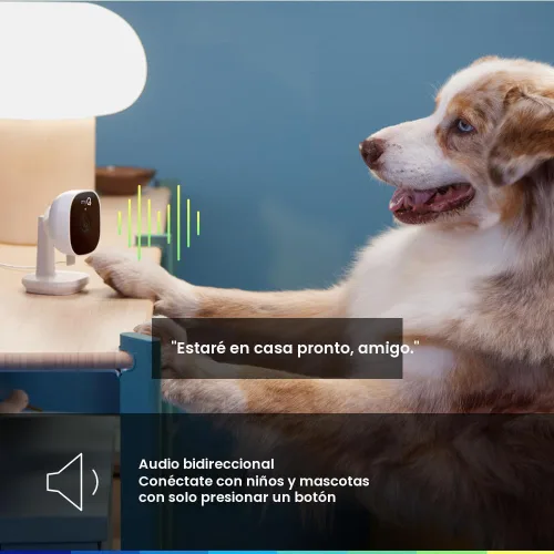 Miniatura 4 de Chamberlain myQ - Cámara de seguridad inteligente para interiores, video HD de 1080p, visión nocturna, detección de movimiento, Wi-Fi, audio