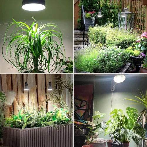 Miniatura 7 de Bombilla de crecimiento LED equivalente a 60W de SANSI, bombilla de luz para plantas de espectro completo BR20 de 12W con base E26, vida útil