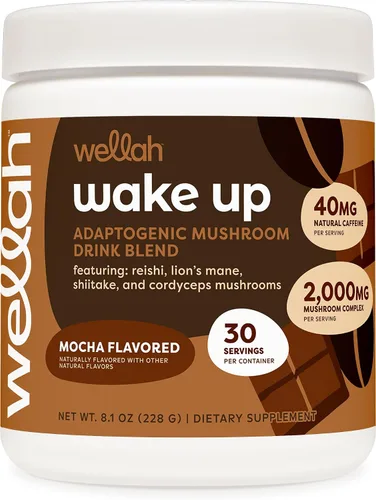 Wellah Wake Up Adaptogenic - Mezcla de bebida de hongos con sabor a moca (30 porciones) – 40 mg de cafeína natural, 2000 mg de complejo de hongos