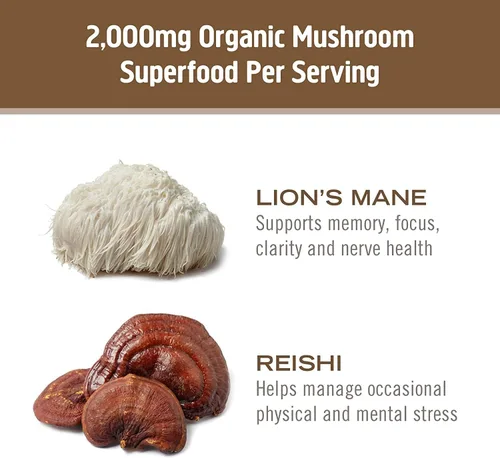Miniatura 7 de OM MUSHROOM SUPERFOOD Brain Fuel - Cápsulas en polvo de hongos suplemento superalimentario, 90 unidades, 30 días, melena de león, mezcla de reishi