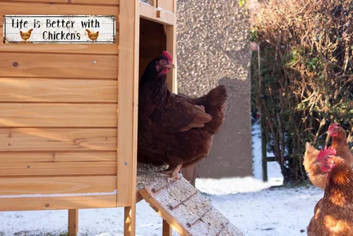 Miniatura 4 de AWISZZZ Letreros de metal con diseño de «Life is Better with Chickens», accesorios de puerta de gallinas de granja, decoración de pared, placa