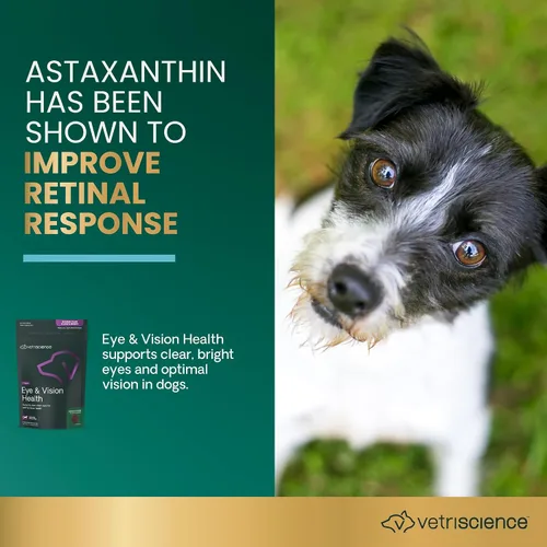 Miniatura 3 de VetriScience Eye & Vision - Masticables para la salud para perros, astaxantina y extracto de arándano, vitaminas y antioxidantes para los ojos