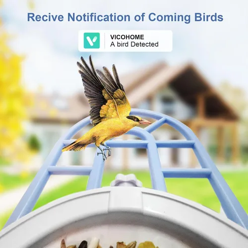 Miniatura 7 de Alimentador de ardillas con cámara alimentado por energía solar, cámara alimentadora de pájaros con IA para identificar especies de aves, casa