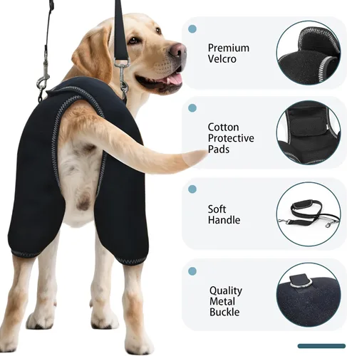 Miniatura 5 de Soporte de cadera para perro para displasia de cadera, soporte de cadera ajustable para perro con correa de elevación, alivio del dolor cálido