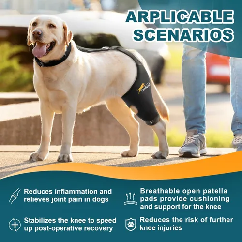 Miniatura 4 de Rodillera para perro para pierna trasera desgarrada del ligamento cruzado anterior, soporte para luxación de rótula u osteoartritis, lesiones