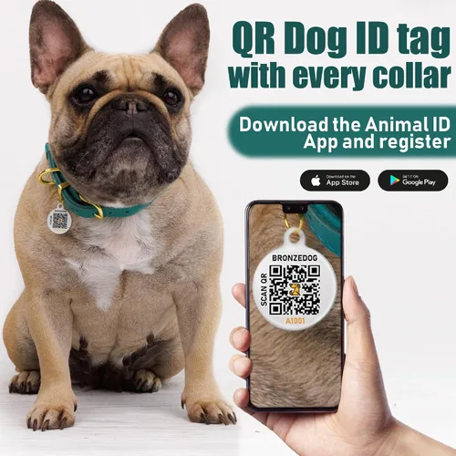 Miniatura 3 de BRONZEDOG Collar de cuero para perro con etiqueta de identificación QR, collares básicos para mascotas pequeños mini, gatos, cachorros