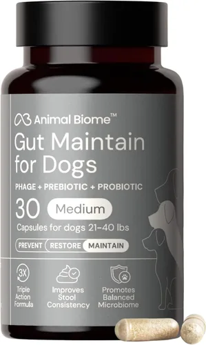 Miniatura 14 de AnimalBiome KittyBiome - Probióticos para gatos con S Boulardii (30 cápsulas) KittyBiome - Mantenimiento intestinal de triple acción fago