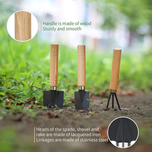 Miniatura 4 de 11 piezas de herramientas para suculentas, mini herramientas de jardín, herramienta de riego de suculentas como accesorios para plantas, kit