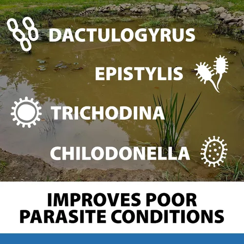 Miniatura 5 de CrystalClear ParaSalt - Sal de estanque para Koi y Goldfish - 10 libras de golosinas de hasta 2,000 galones (CC158-10)