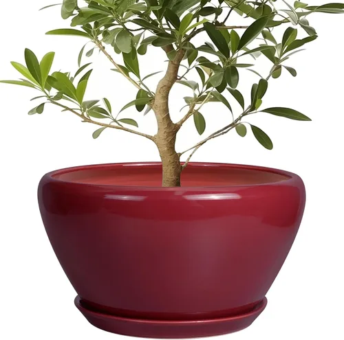 Miniatura 60 de Maceta de Cerámica Moderna con Esmalte para Suculentas con Agujero de Drenaje y Platillo, Maceta Redonda de 6 Pulgadas para Plantas de Flores