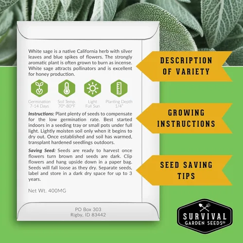 Miniatura 2 de Survival Garden Seeds Sage Collection Seed Vault - Semillas blancas y culinarias y azul Victoria (Salvia Apiana, Officinalis, Farinacea) - Semillas