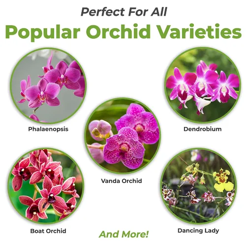 Miniatura 2 de Perfect Plants Fertilizante líquido para orquídeas de 8 oz. Alimento vegetal para todas las variedades epífitas Fomenta la repetición de auges