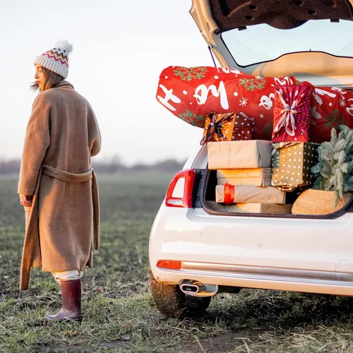 Miniatura 6 de Bolsa de almacenamiento grande para árbol de Navidad con cordón para árboles de 7.5 pies, cubiertas para contenedores verticales a prueba de polvo