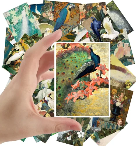 Miniatura 6 de Calcomanías grandes, 24 piezas (2.5 x 3.5 pulgadas cada una) pájaros, mariposas y flores, libro botánico antiguo, ilustración, postales vintage, Ocho