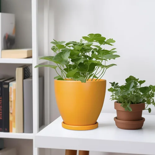 Miniatura 2 de Maceta para Plantas de 6.8 Pulgadas - Maceta de Cerámica con Orificio de Drenaje y Platillo, Maceta Redonda Moderna para Flores, Macetas
