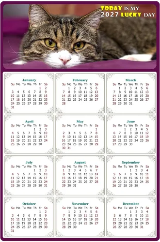 Calendario magnético 2025 – Imanes del calendario – Today is my Lucky Day – Resistente a la decoloración, desgarros y agua – Temática de gato 022