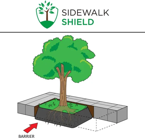 Miniatura 4 de Barrera de control de raíces de árbol (servicio estándar - 18 pulgadas de profundidad, 50 pies)