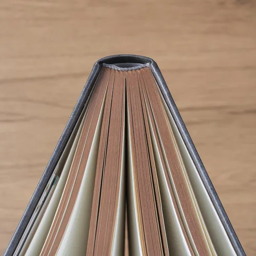 Miniatura 7 de ZXHQ Cuadernos A5 de 360 páginas rayadas con bolígrafo, diarios para mujeres y hombres, cuaderno de escritura, diseño de árbol de la vida, borde