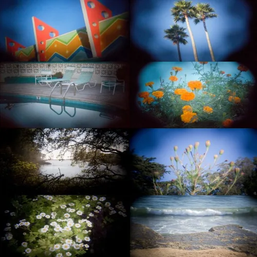 Miniatura 3 de Holga Lente 2.362 in f/8 para Nikon DSLR (negro)