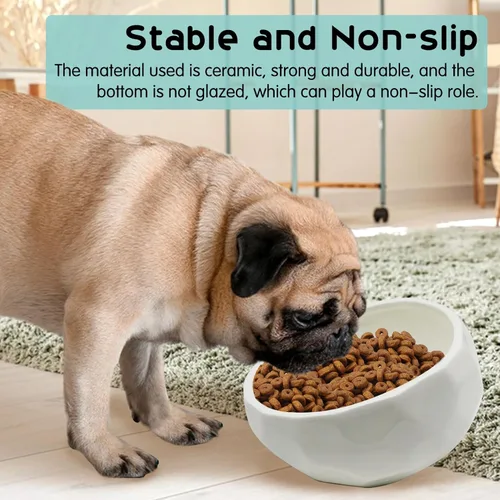 Miniatura 5 de kathson Cuenco inclinado de cerámica para perros inclinado 15° para comida para gatos, cuencos de agua, plato de alimentación cómodo para mascotas