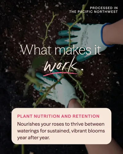 Miniatura 5 de Heirloom Roses Founder's Fertilizante para peces, alimento vegetal para plantas, fertilizante líquido orgánico de emulsión, fertilizantes de jardín