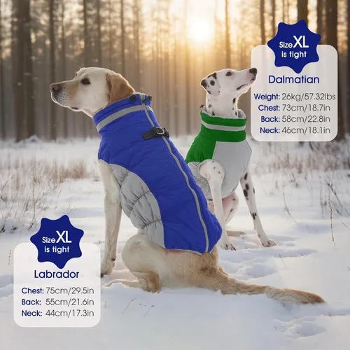 Miniatura 6 de FUAMEY - Abrigo para perro, chaqueta cálida de invierno, acolchada, de vellón, chaleco reflectante con arnés, chaqueta de nieve impermeable con Azul