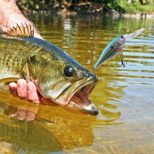 Miniatura 7 de Crankbait Minnow - Señuelos de pesca, 10 señuelos de agua superior con anzuelos agudos, cebos duros Swimbaits 3D ojos de pesca realistas cebo