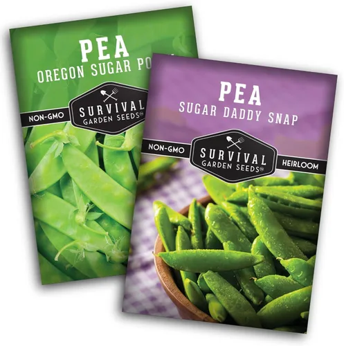 Survival Garden Seeds Oregon Sugar Pod II Pea & Sugar Daddy - Colección de semillas de guisantes sin OMG para cultivar deliciosas verduras de clima