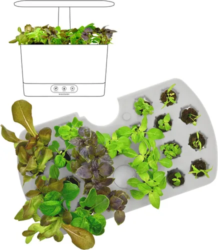 Miniatura 3 de Sistema de plantación inicial AeroGarden para modelos Harvest