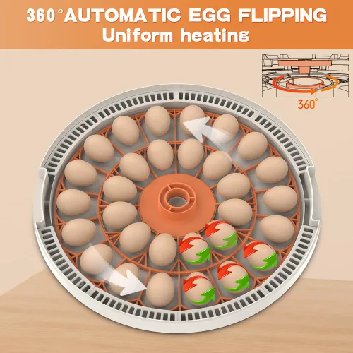 Miniatura 4 de incubadoras para incubar huevos,Incubadora de 30 huevos,Incubadora de huevos con giro automático de huevos,Incubadora para huevos