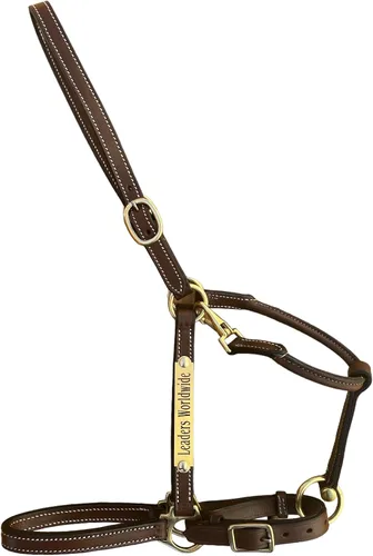 Miniatura 3 de Leaders - Cabestro de cuero de 3/4 pulgadas para caballos con placa de nombre grabada personalizada, cuero marrón con herrajes de latón macizo