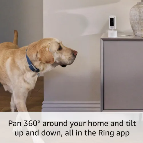 Miniatura 3 de Cámara para interiores con movimiento Ring: ve lo que pasa en tu casa o negocio con cobertura de 360°, video HD y comunicación bidireccional