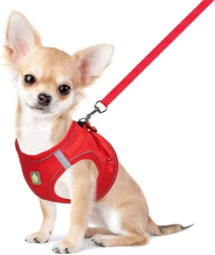 Miniatura 8 de FEimaX Juego de arnés y correa para perro, sin tirones, transpirable, chaleco de arnés de malla suave para cachorro, arnés reflectante ajustable