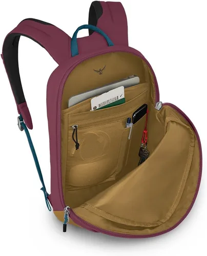 Miniatura 3 de Osprey Pequeño día arcano, Rojo AlliumMarrón Brindle, Pequeño día arcano