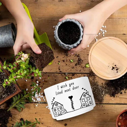 Miniatura 2 de Regalos para Amigas, Desearía Que Vivieras al Lado, Linda Maceta de Suculenta, Maceta de Flores, Regalos de Amistad para Relación a Larga Distancia