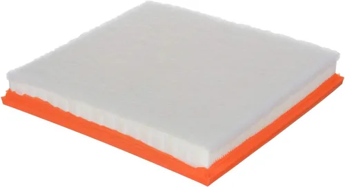 Miniatura 2 de Filtro de aire del panel de protección CA10989 FRAM
